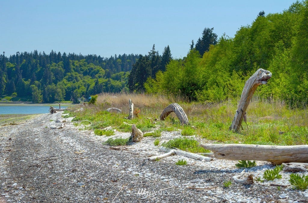 Illahee Sea Monster Illahee Sea Monster