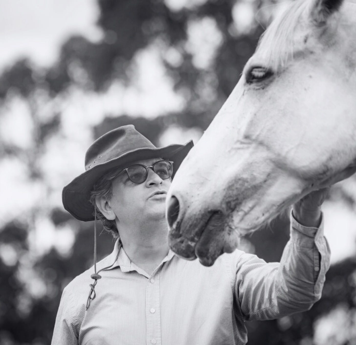 ¿Por qué la Sanación Interior es la Clave para Vivir Tu Vida Auténtica?