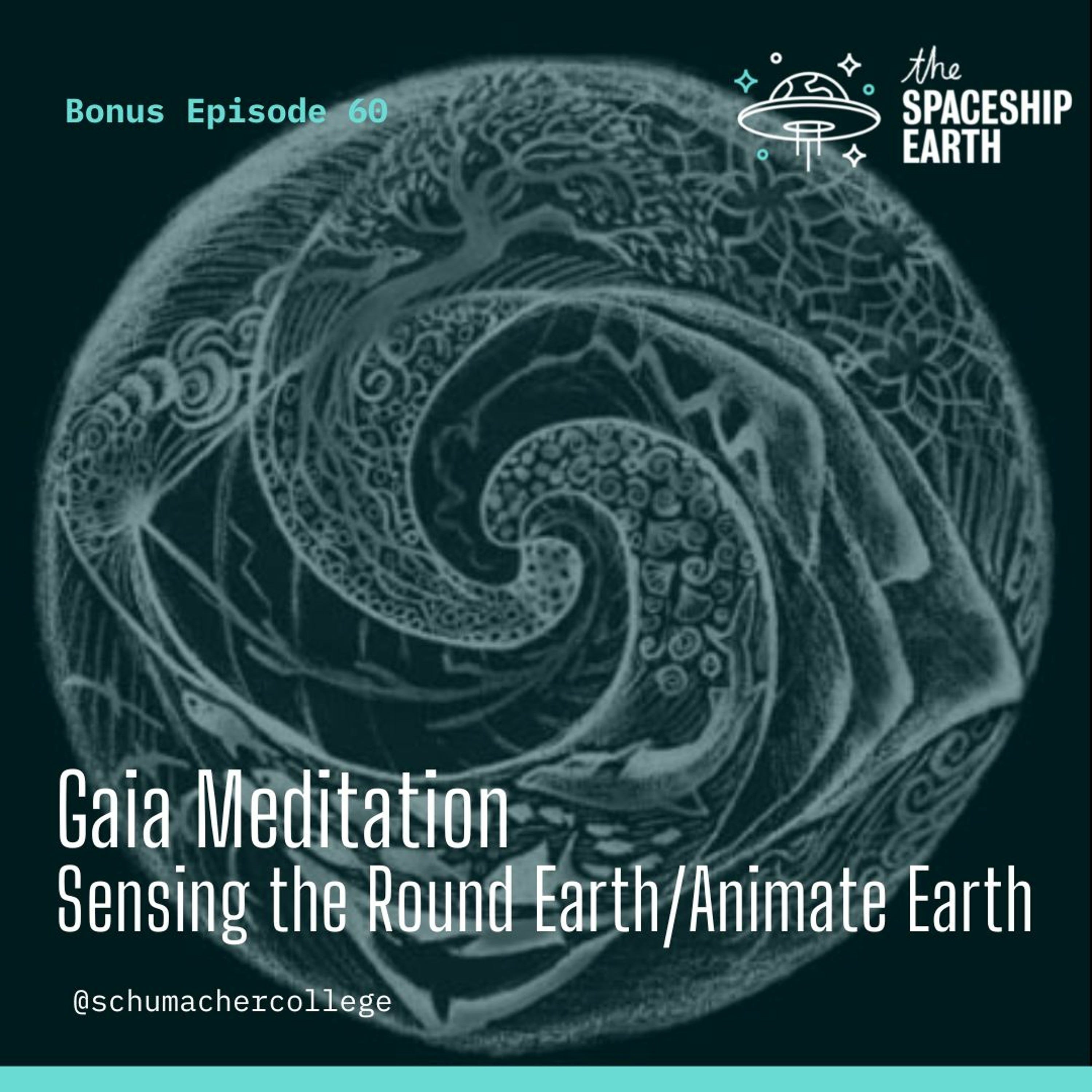 THE SPACESHIP EARTH PODCAST