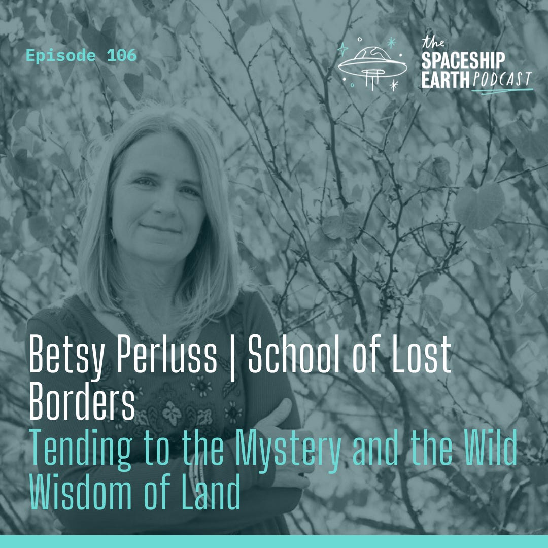 Episode 106: Betsy Perluss | Tending to the Mystery and the Wild Wisdom of Land episode artwork