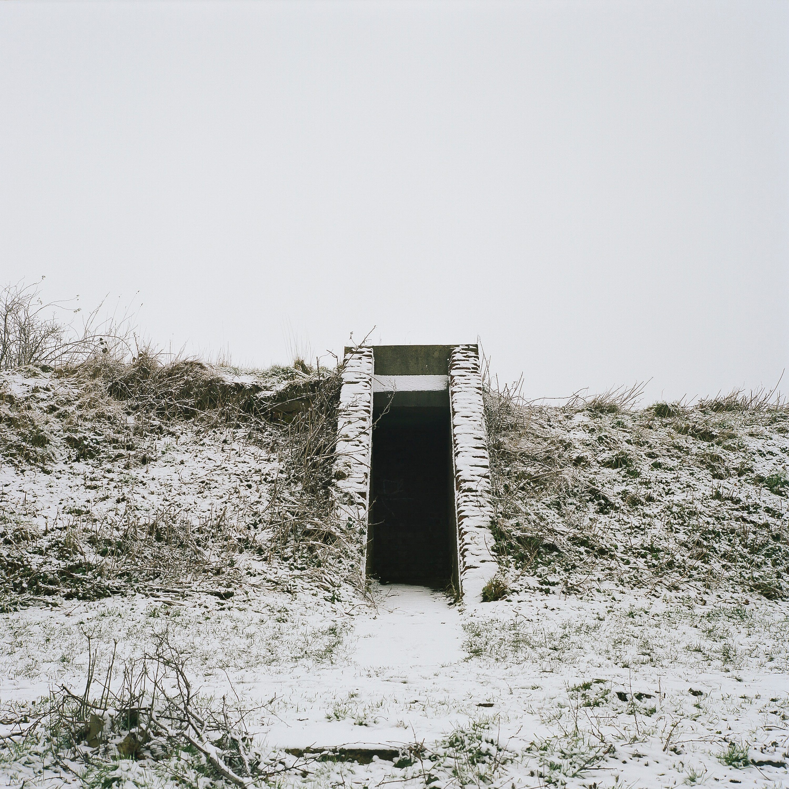 Episode 24 – Jesse Coffino