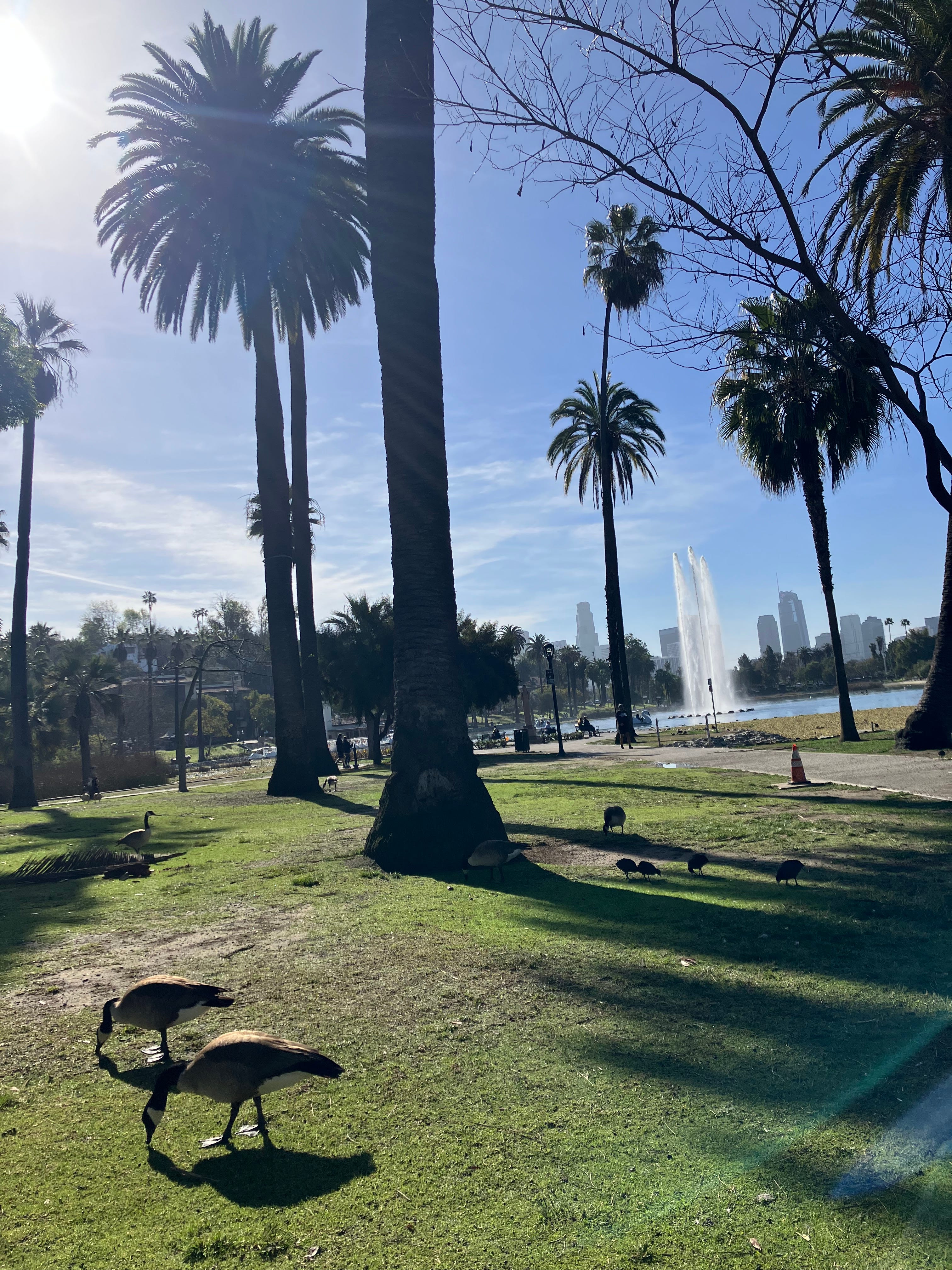 Echo Park Lake episode artwork