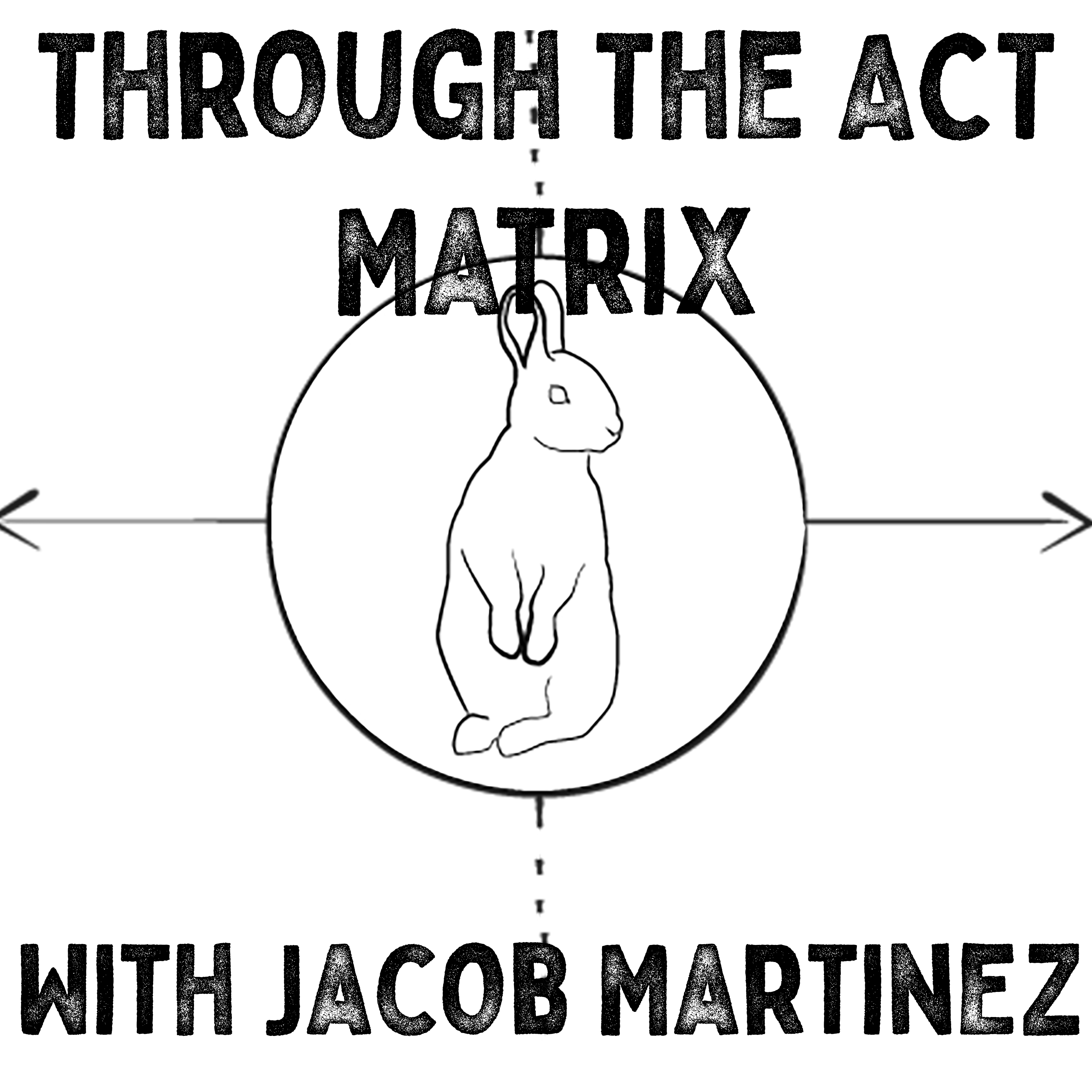 Through the ACT Matrix Podcast