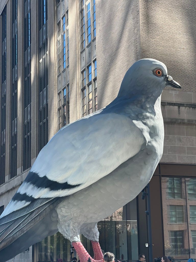 The Modern Flâneur