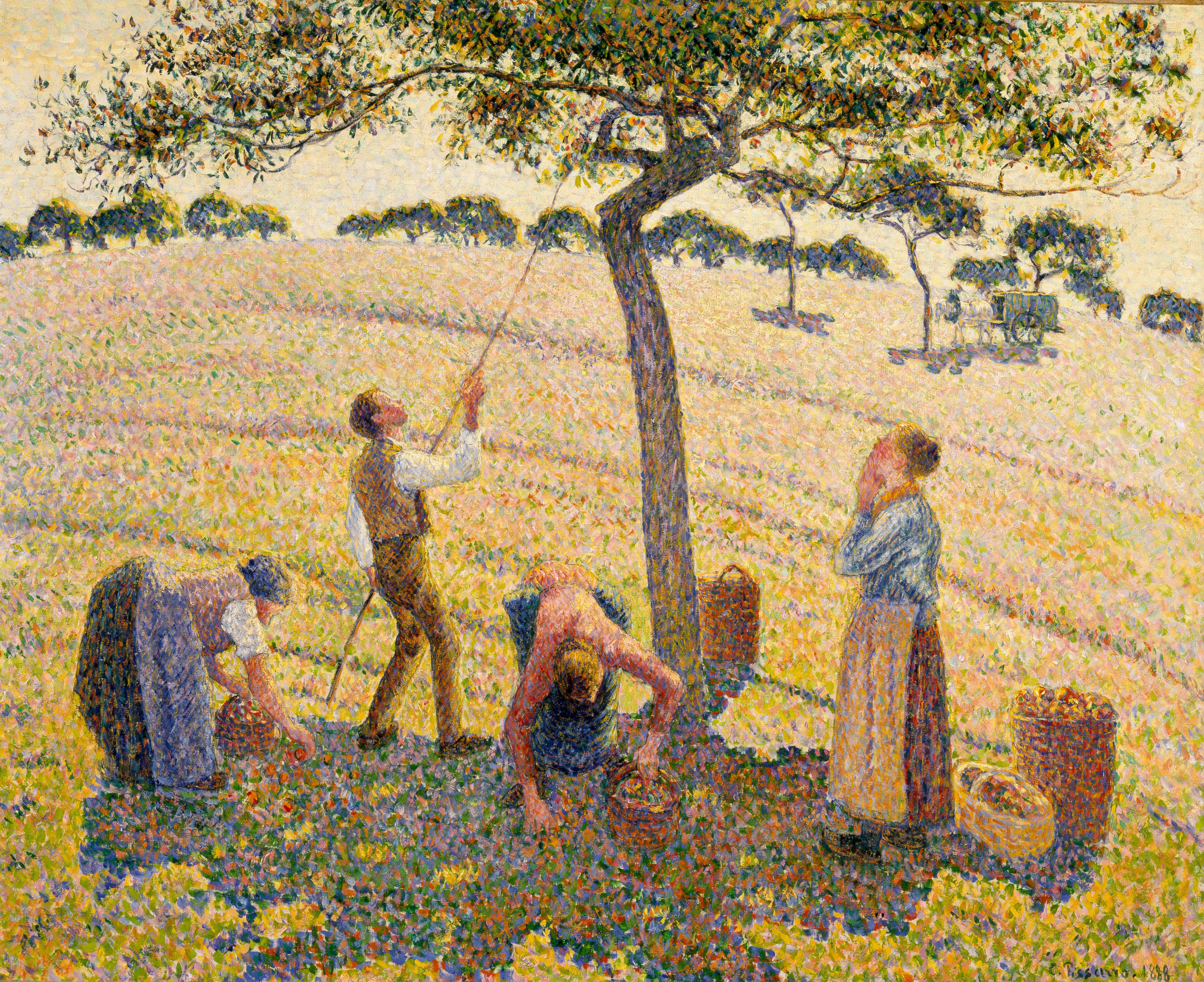 Apple Harvest, 1888 episode artwork