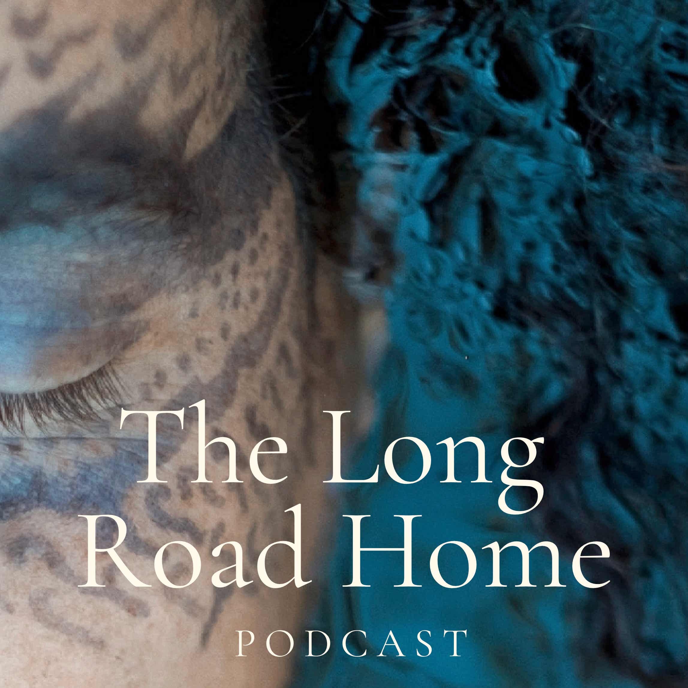 The Long Road Home Podcast