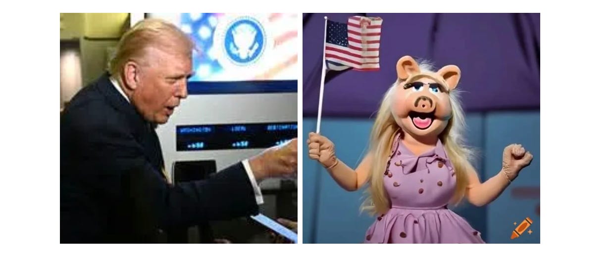 Donald Drumpf Theatre #264: How The Beatles White Album Explains This Week in the White House episode artwork