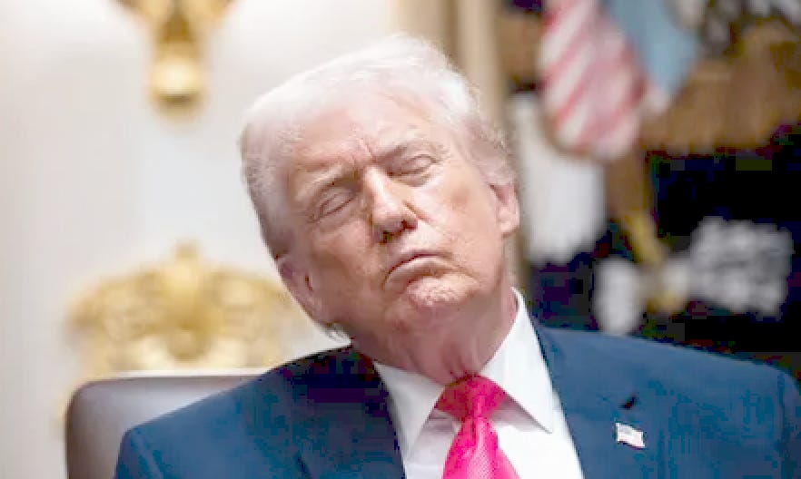 Donald Drumpf Theatre #265: Well, We're Stupid Here in Magistan episode artwork