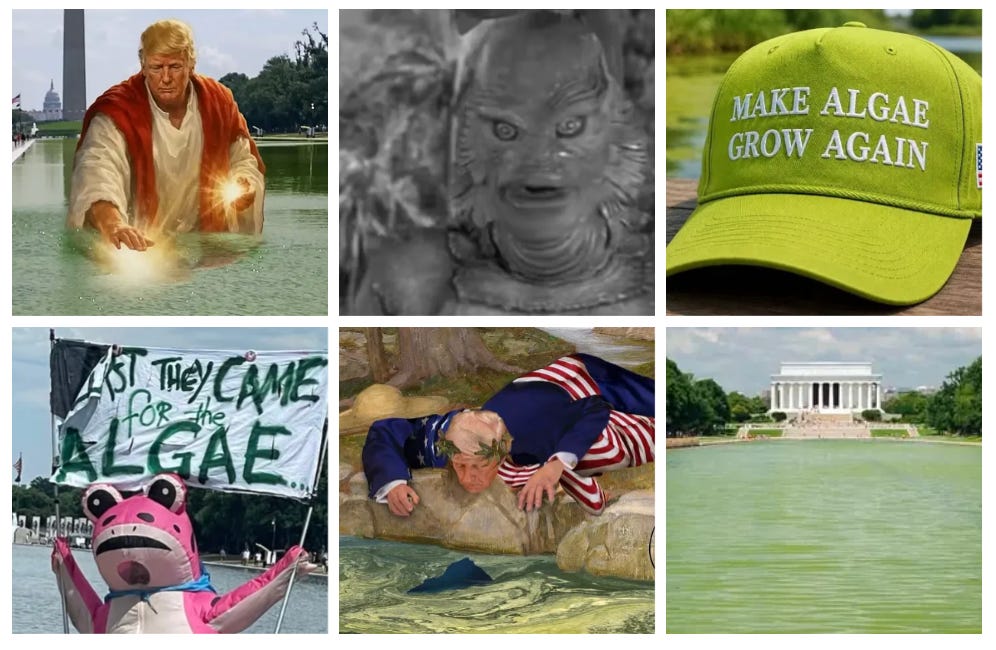 Donald Drumpf Theatre 294: The Creature From the Green Lagoon Loses War With Iran episode artwork