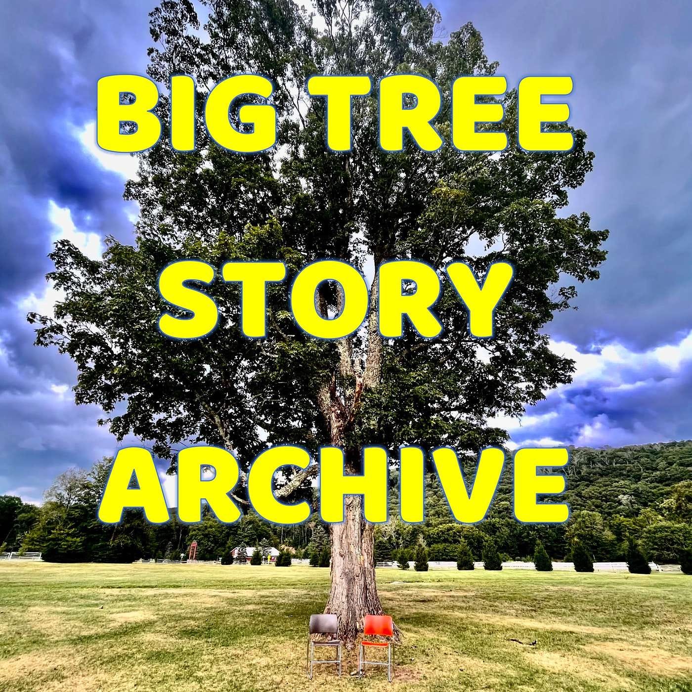 THE OLYMPIA RADIO COMPANY