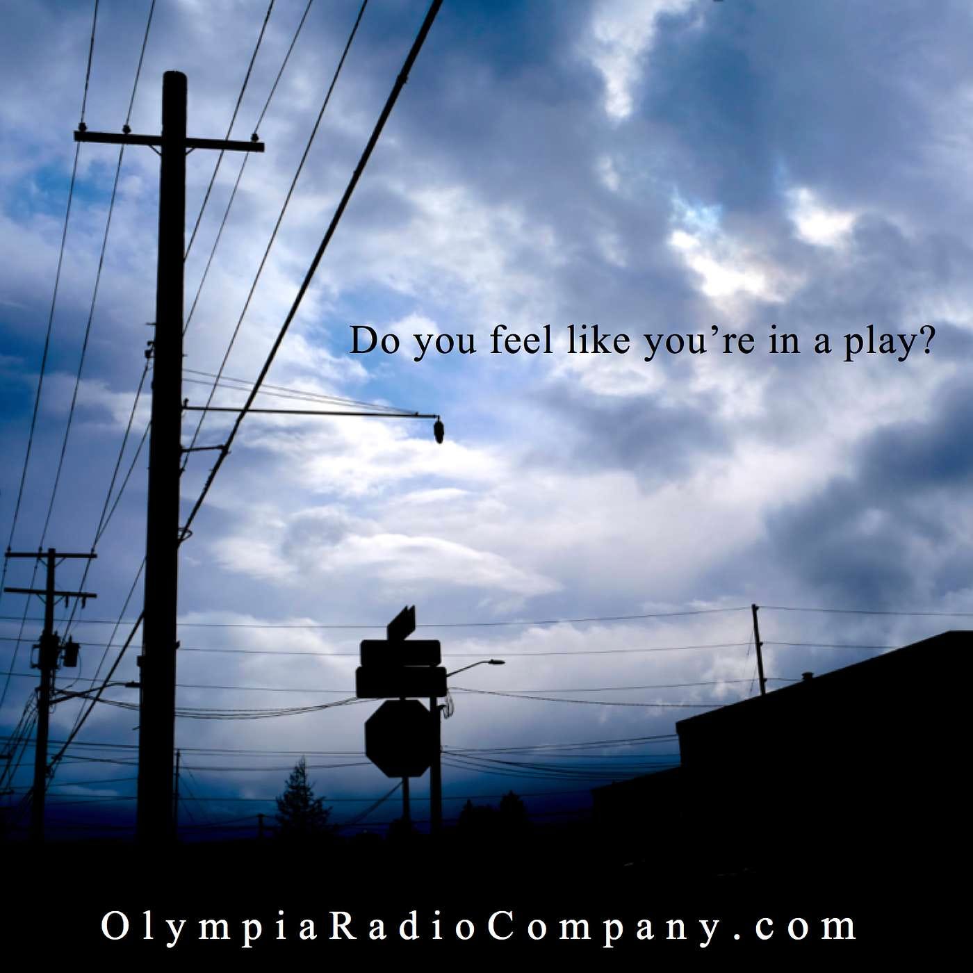 THE OLYMPIA RADIO COMPANY