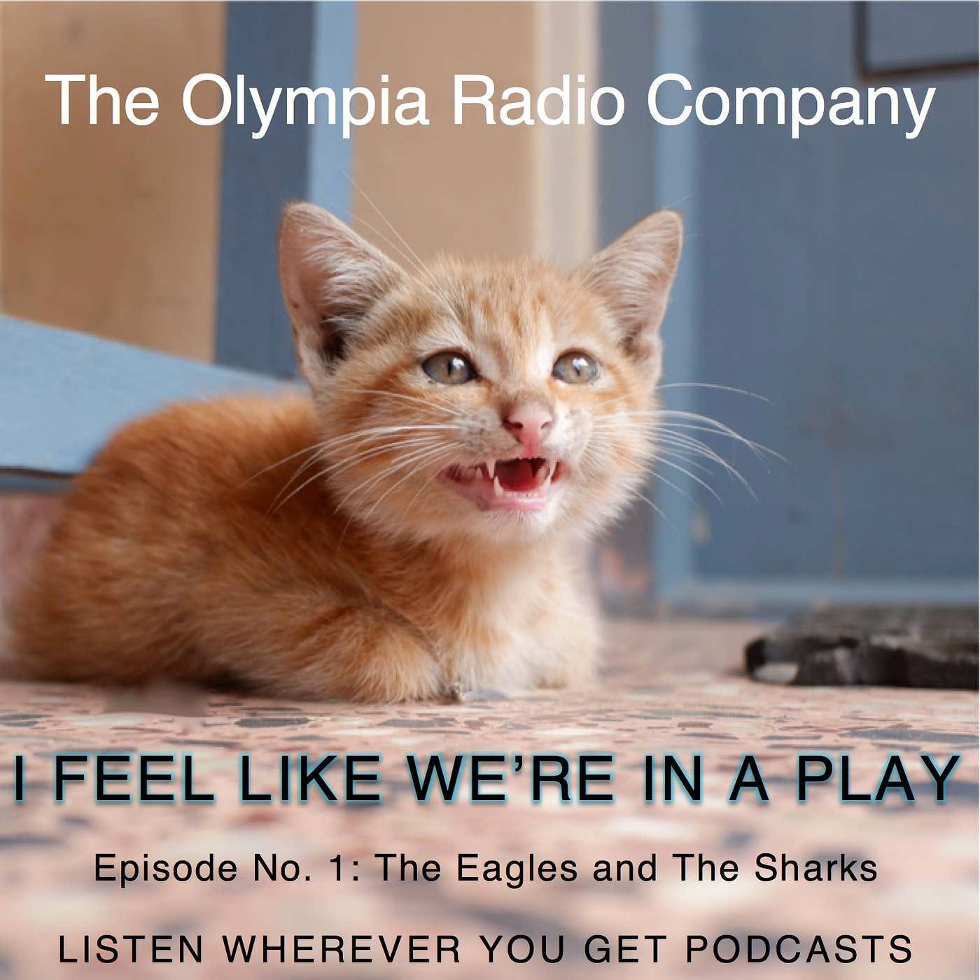 THE OLYMPIA RADIO COMPANY