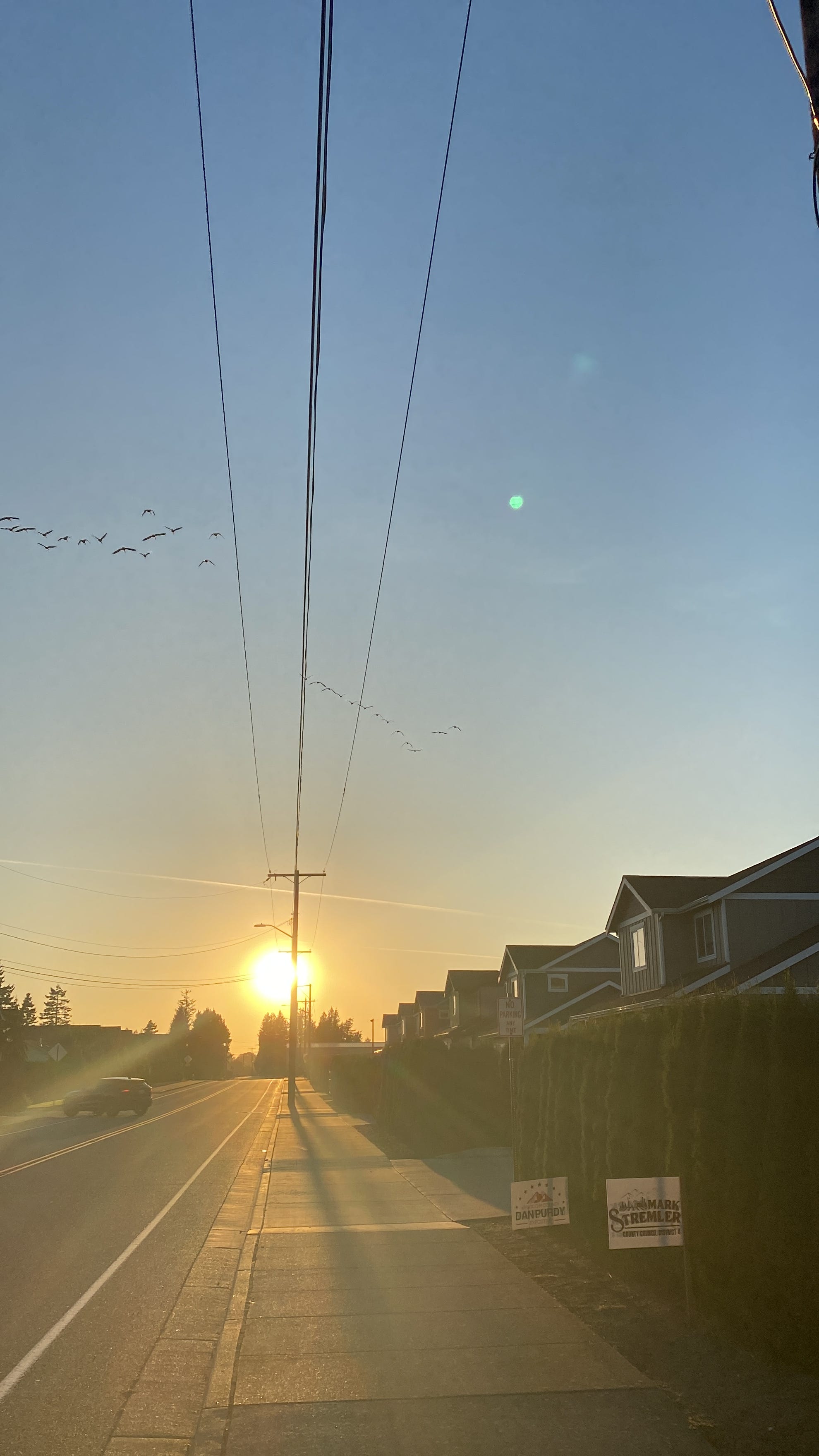 The geese have flown over... The geese have flown over...