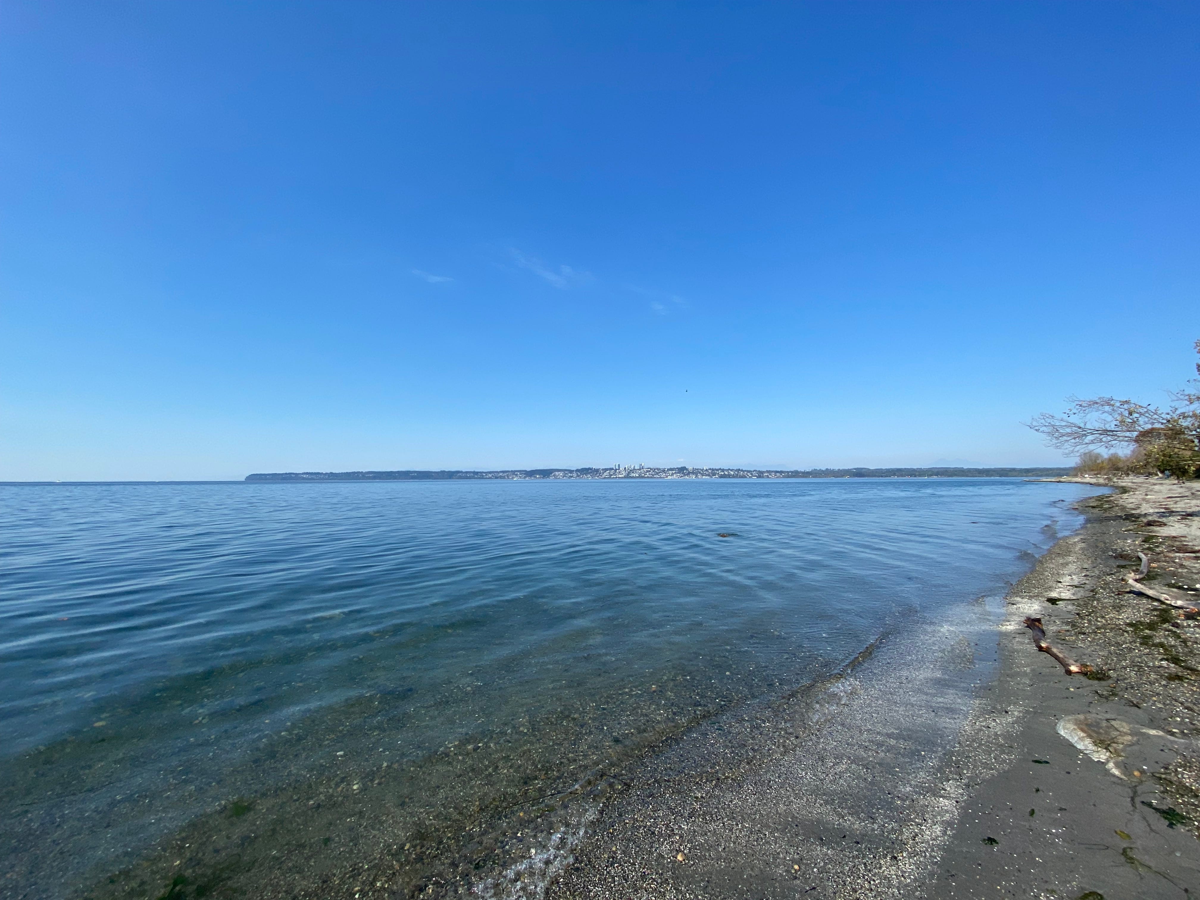 What exactly is a dissertation? What exactly is a dissertation?