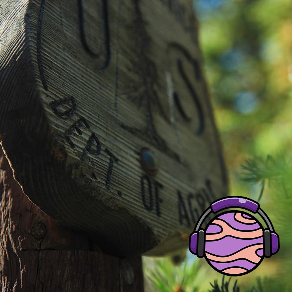 Unpacking new U.S. Forest Service proposals' potential impact on naturism