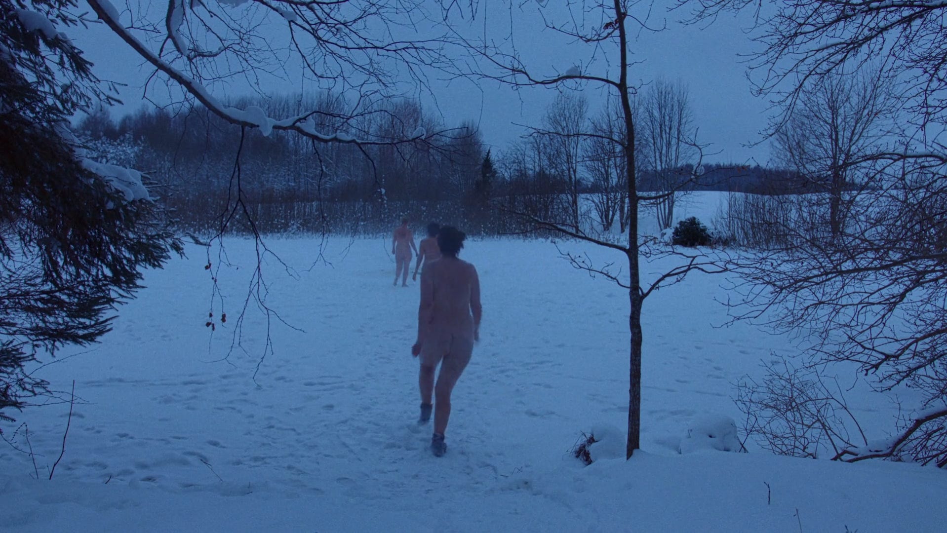 The vulnerability of Smoke Sauna Sisterhood