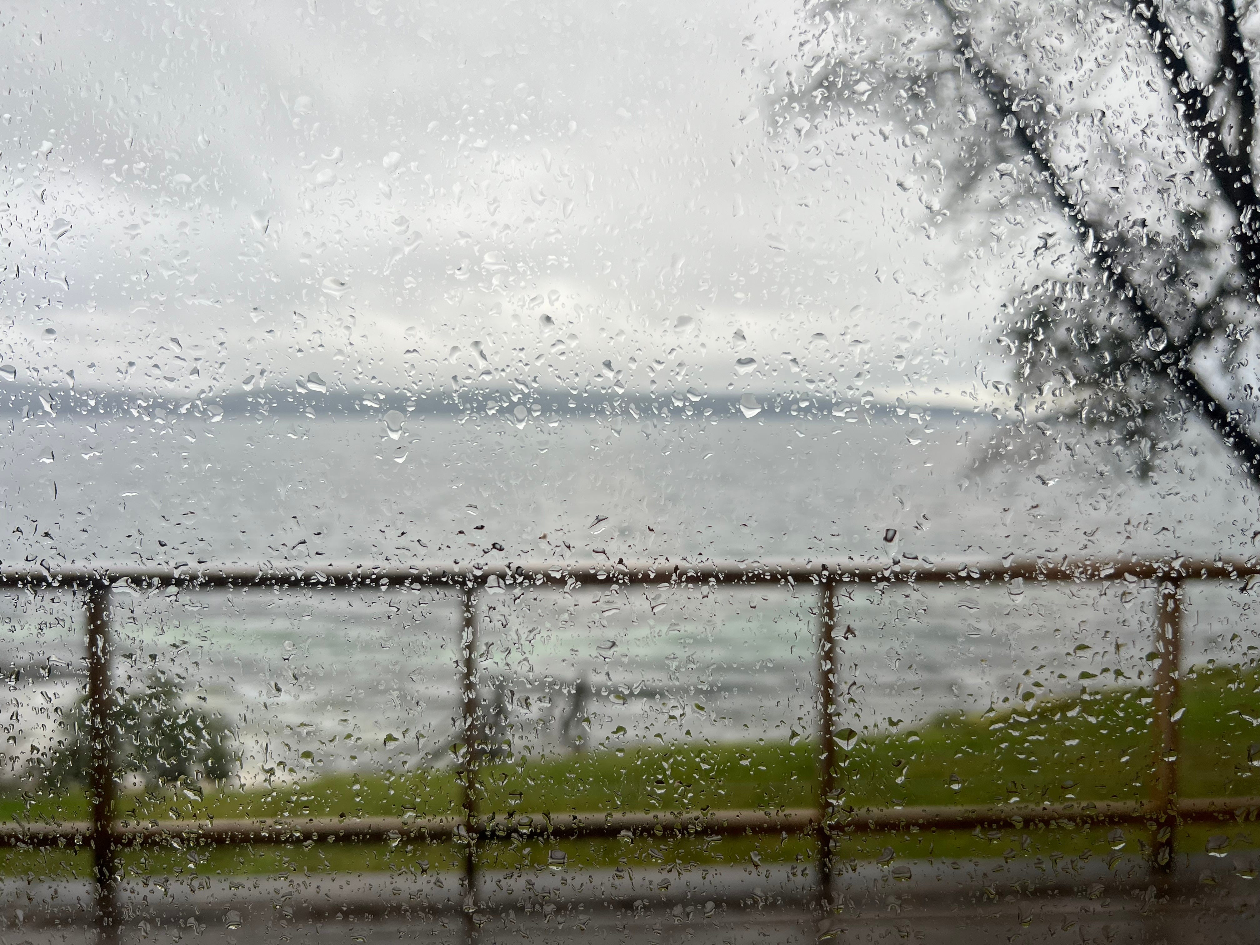 The Great Work Podcast