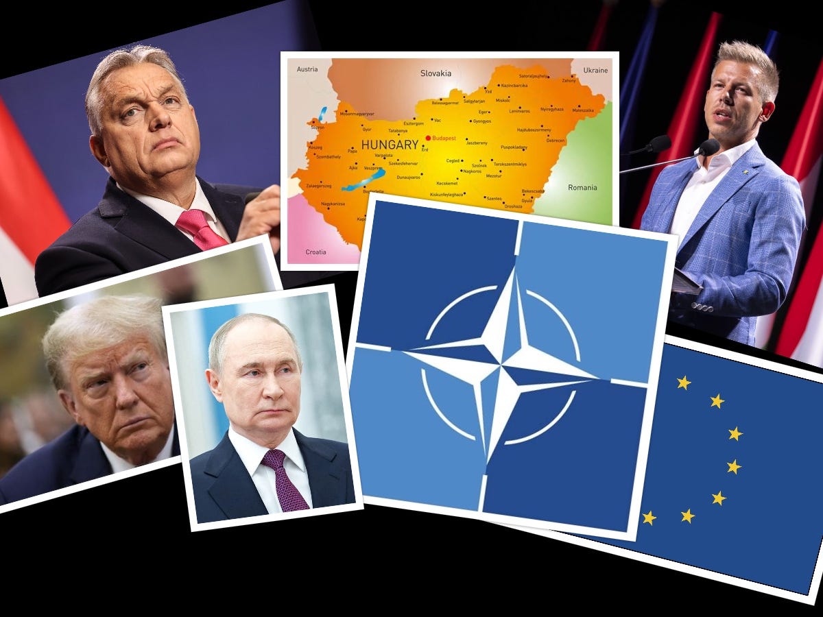 Viktor Orban Won’t Leave Without A Fight (S01E46) episode artwork