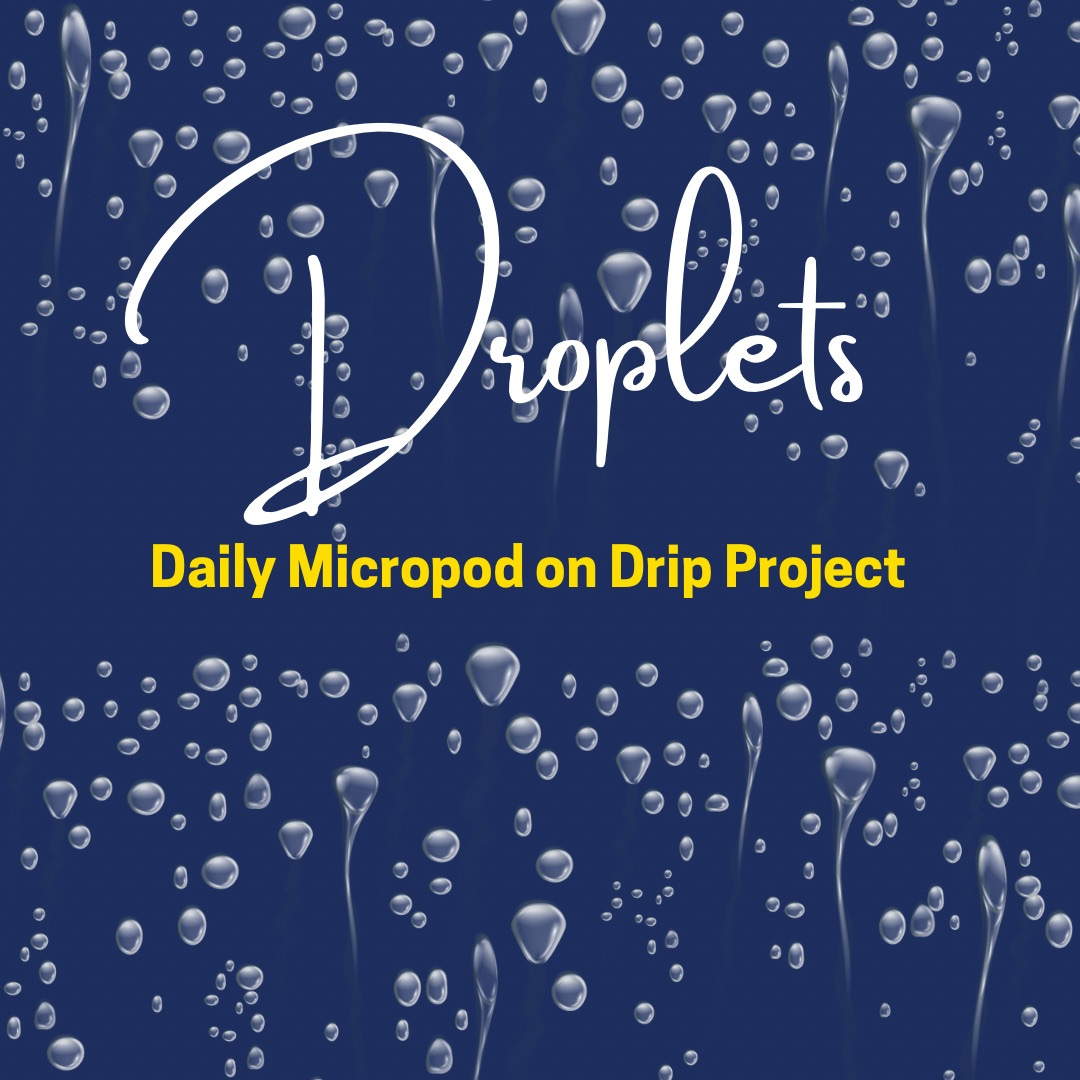 The Drip Project