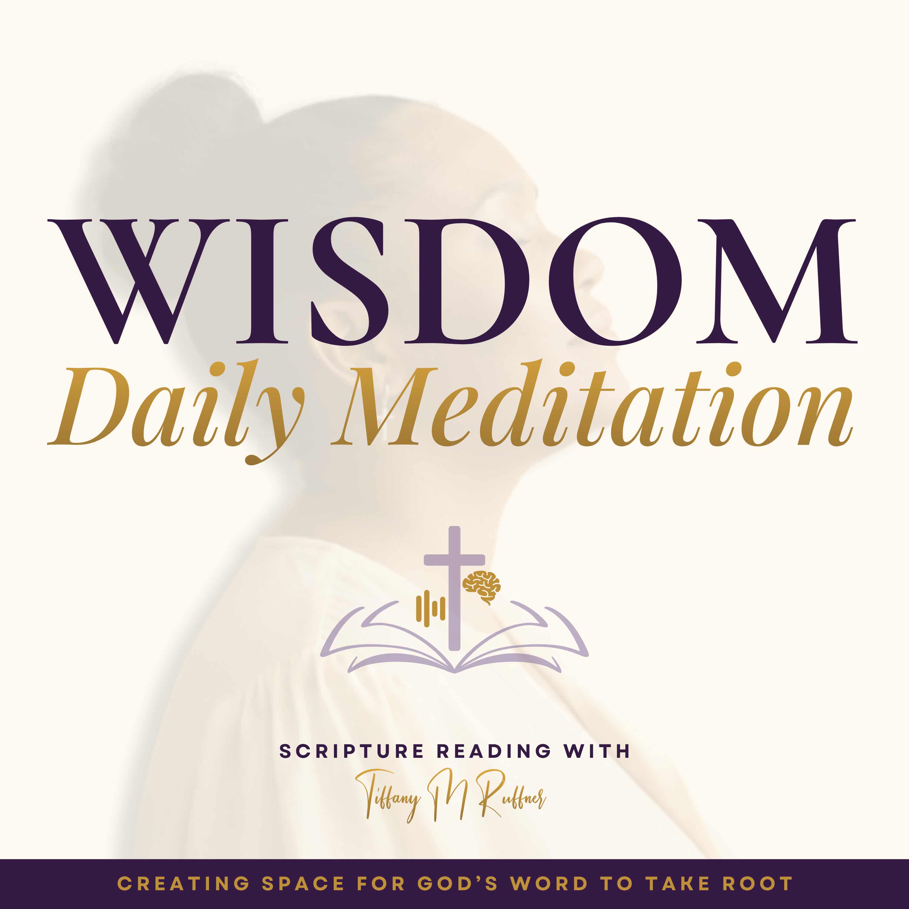 Wisdom Daily Meditation | Clear Bible Reading for Wisdom & Discernment artwork