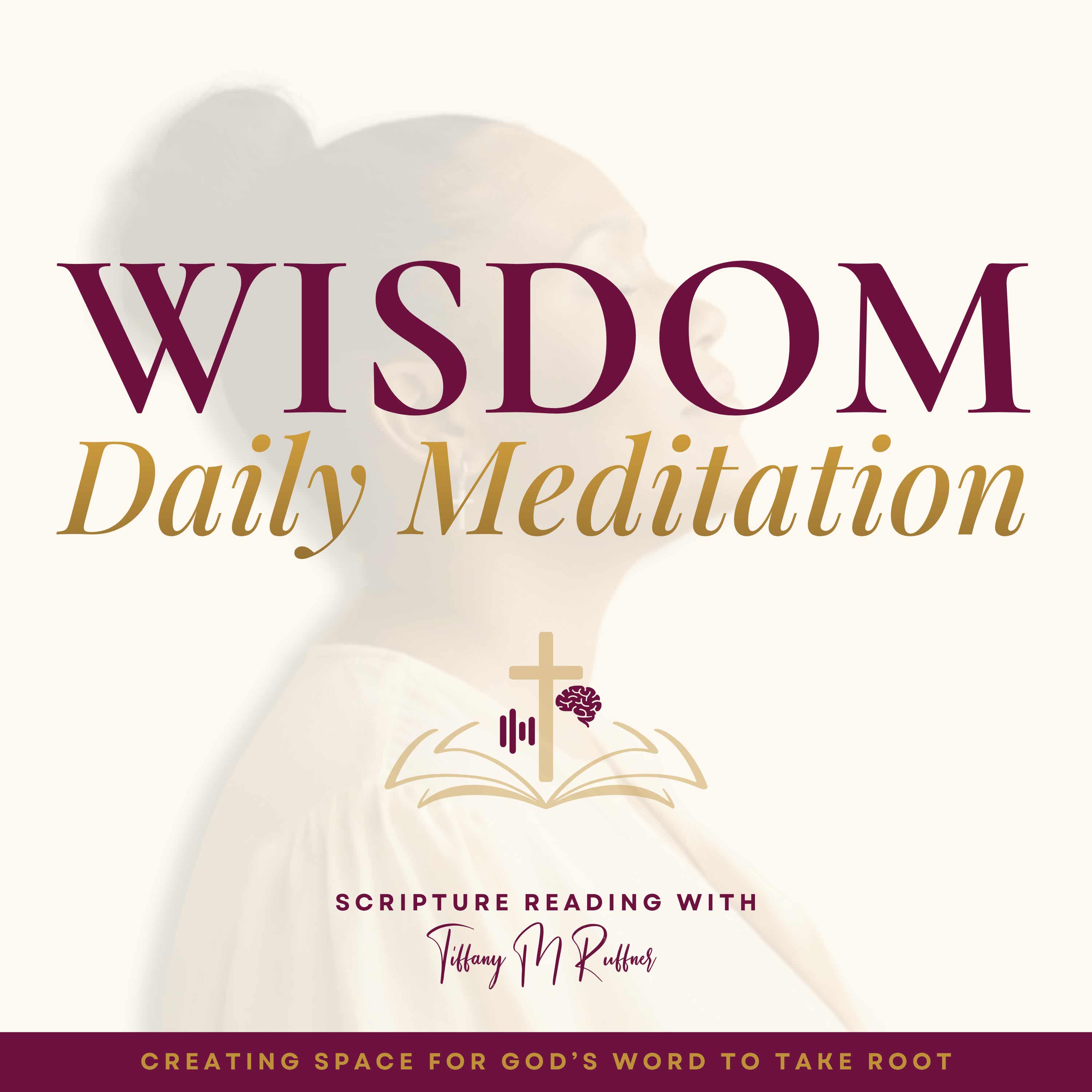 Wisdom Daily Meditation | Clear Bible Reading for Wisdom & Discernment podcast cover art