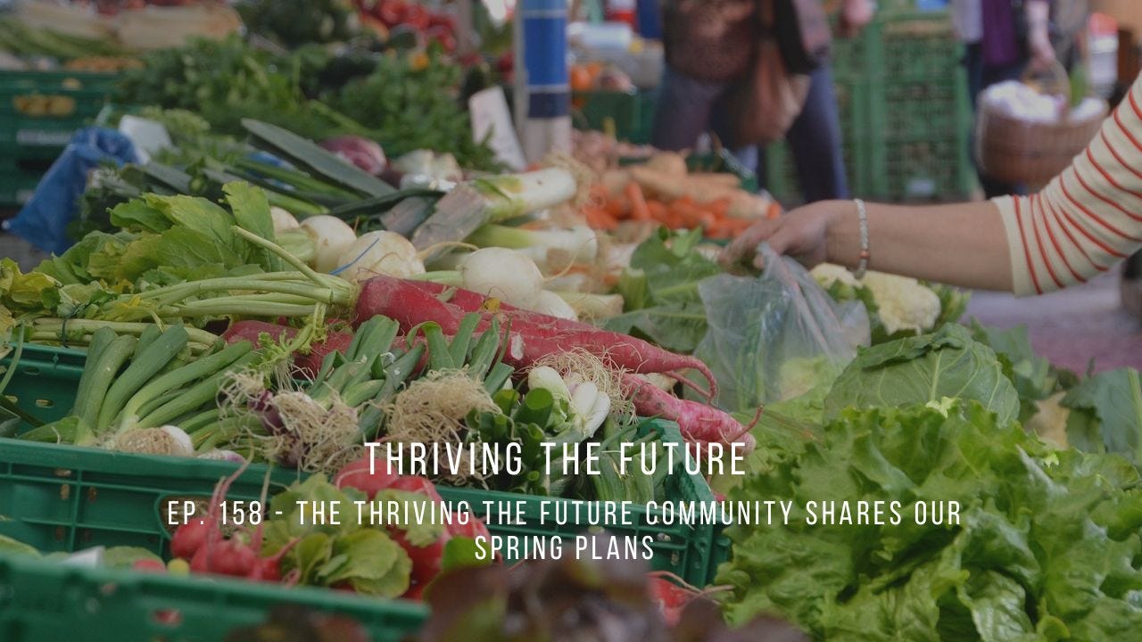 Ep. 158 - The Thriving the Future Community Shares Our Spring Plans