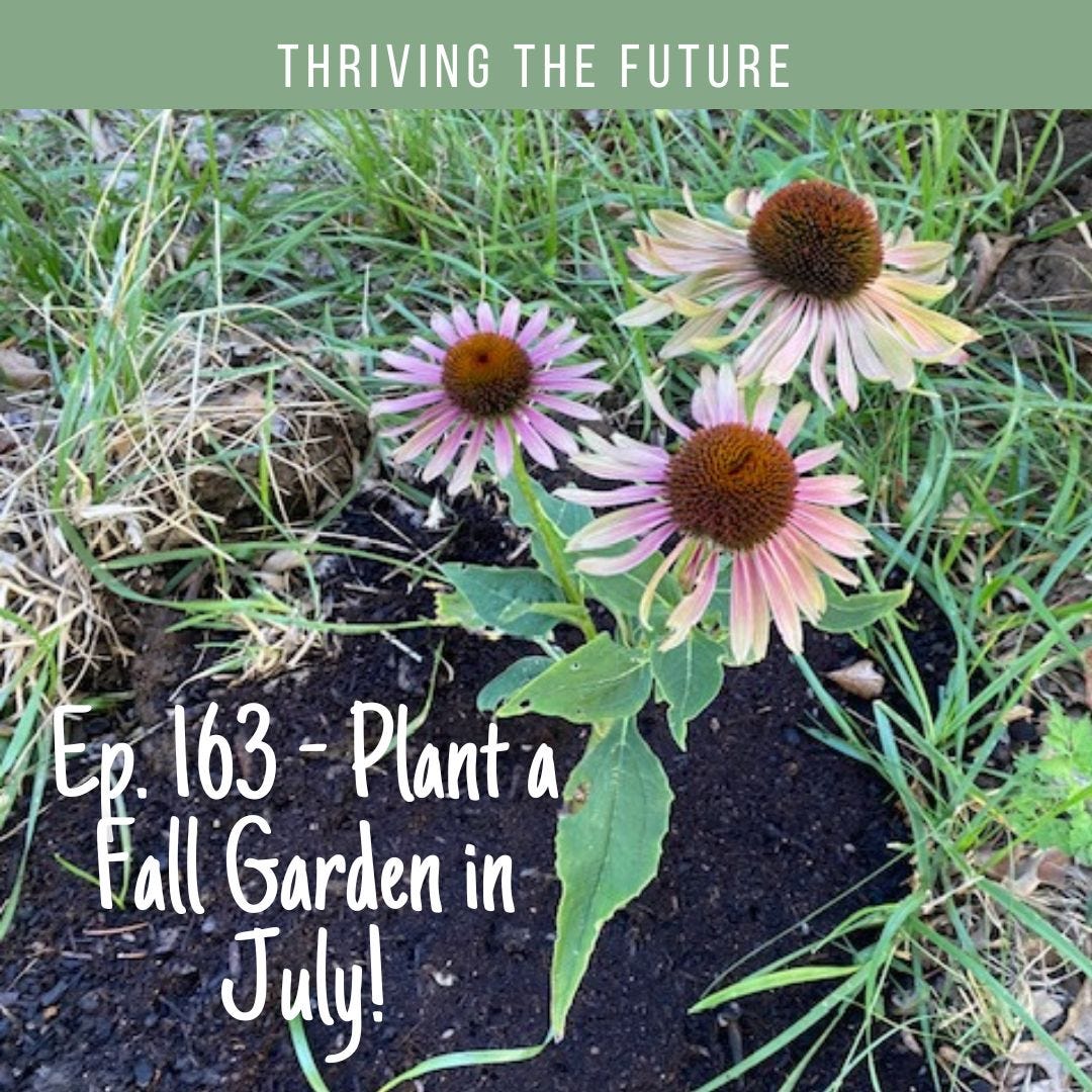 Ep. 163 - Plant a Fall Garden in July!