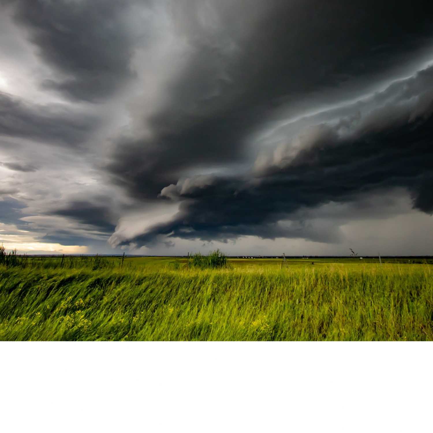 Ep. 81 - Dealing with Depression on the Homestead - with Homestead Padre