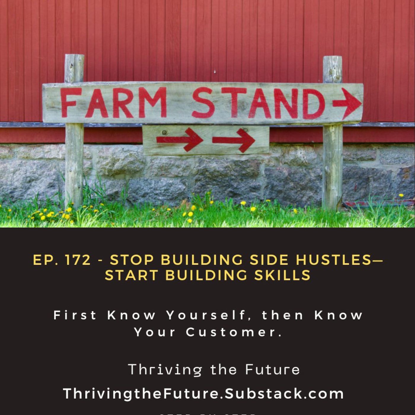Ep. 172 - Stop Building Side Hustles—Start Building Skills