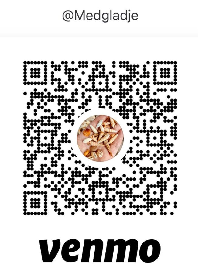 Cabinet of Curiosities