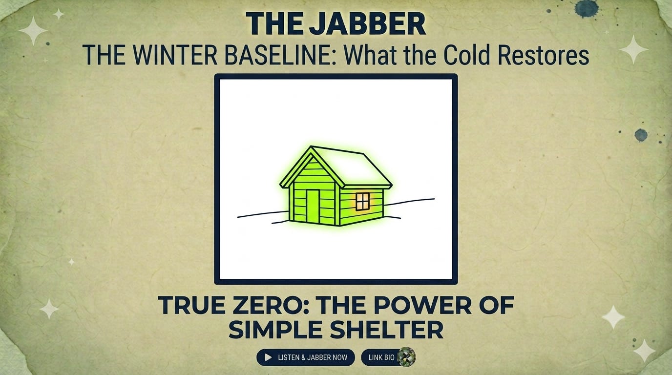 The winter baseline: What the cold restores episode artwork
