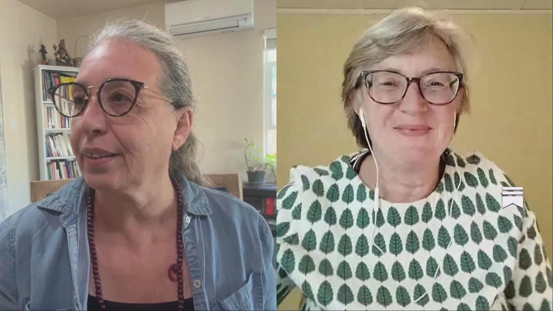 [RECORDING] Exploring Acne in Menopause: Insights from Ayurveda and Chinese Medicine