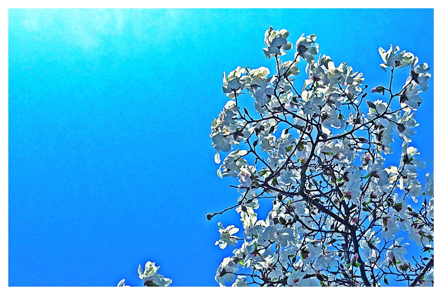 Softening into the Moment Softening into the Moment