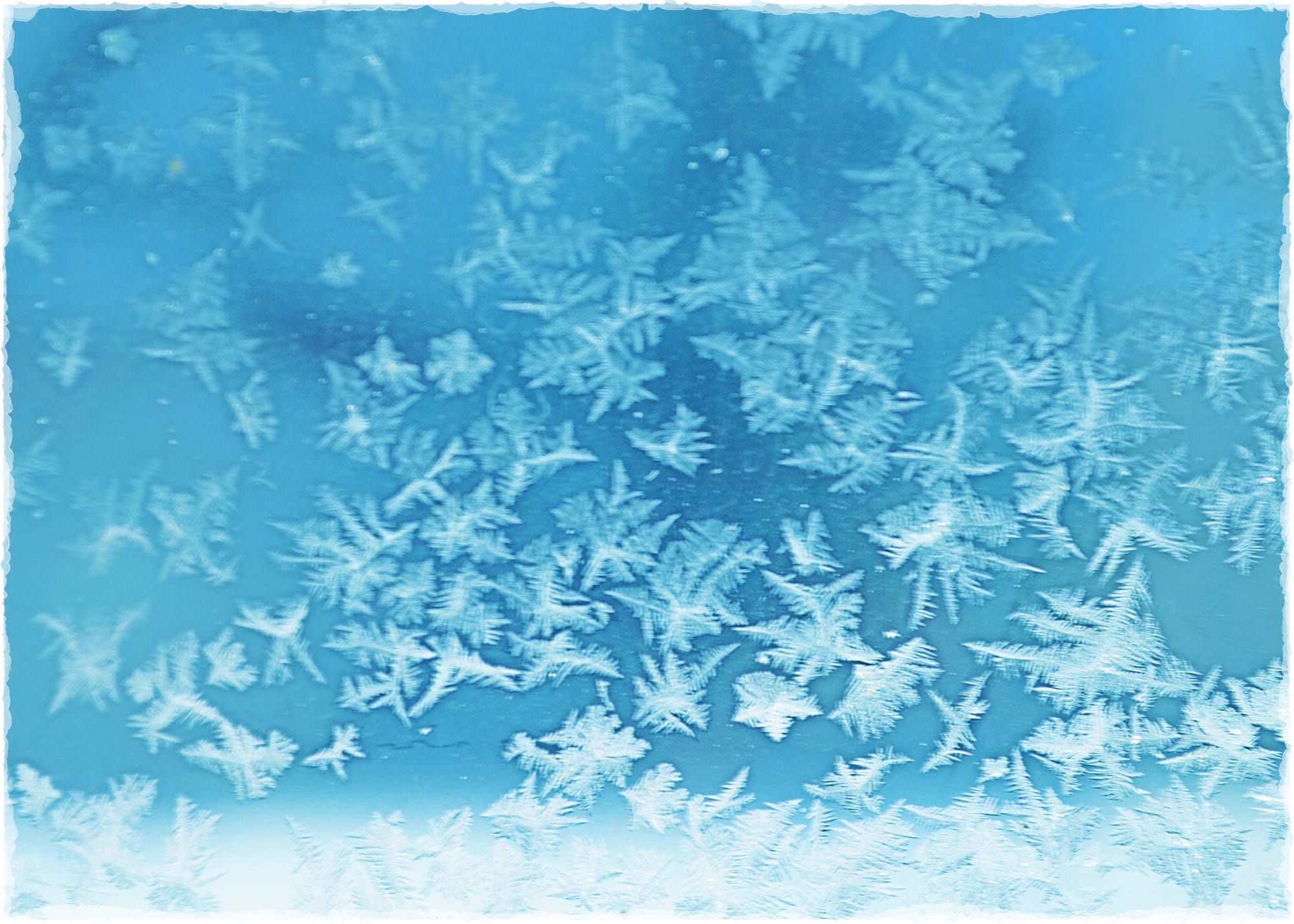 At Home in the World