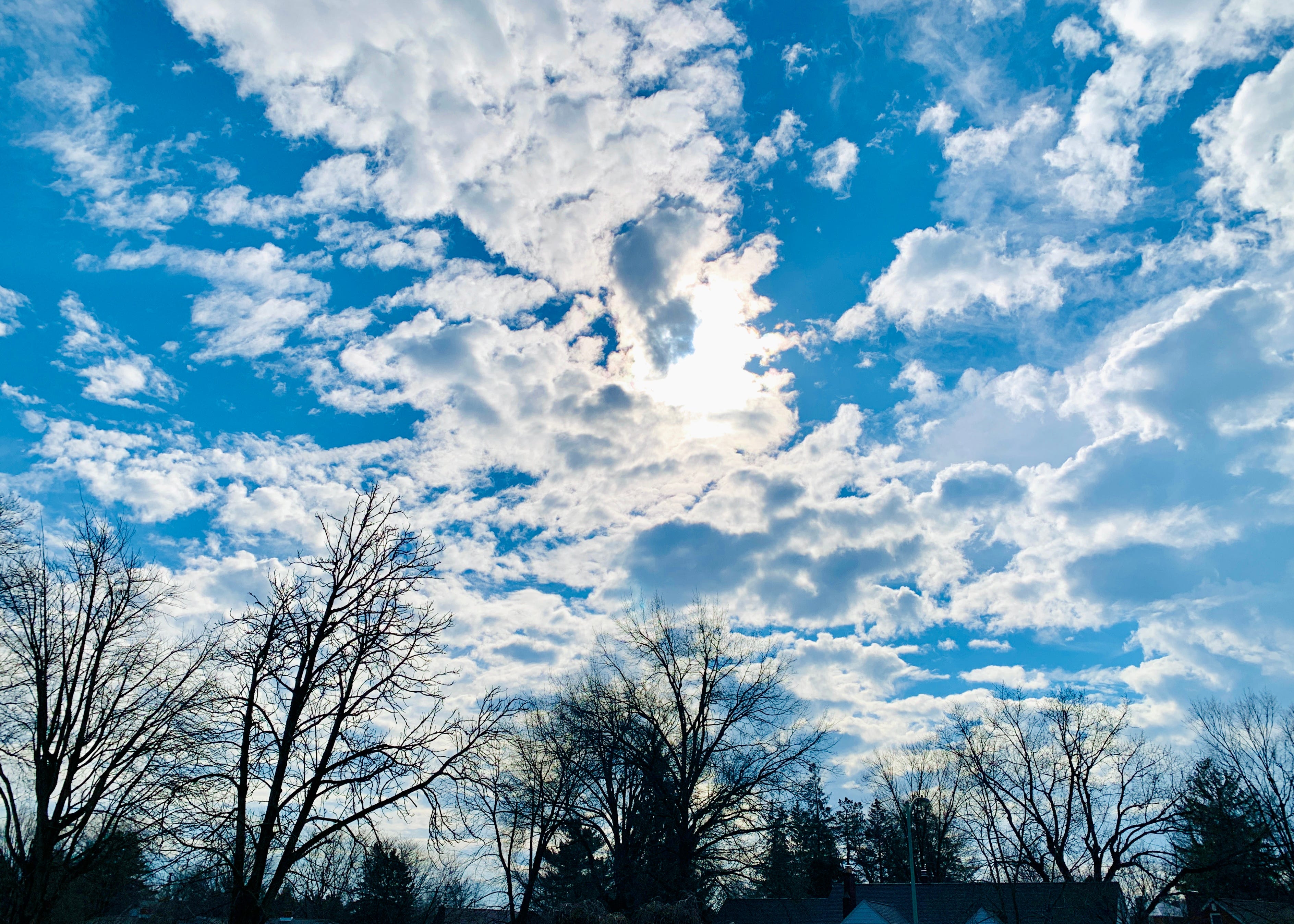 Reclaiming the Breath