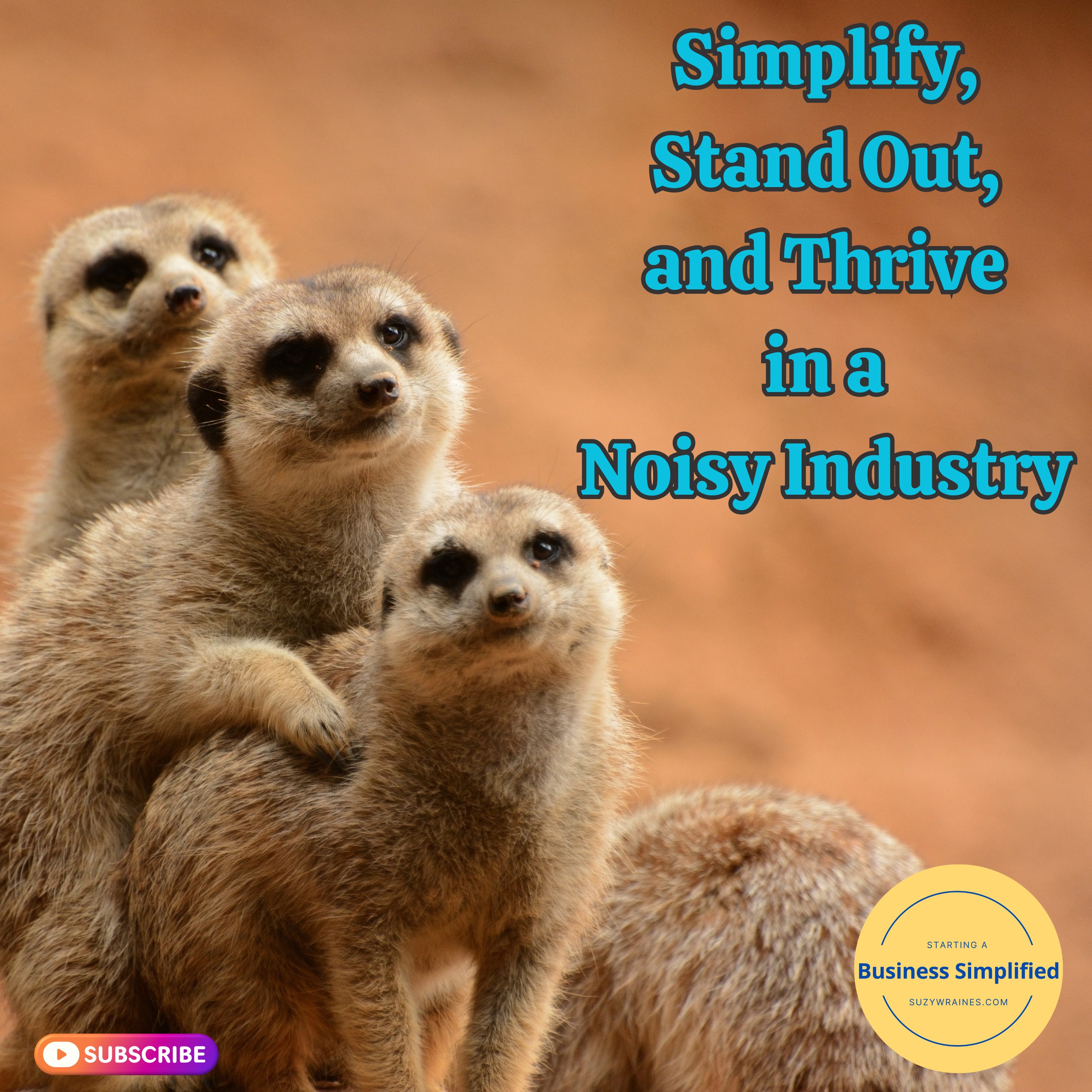 Starting a Business Simplified: Building a Cash-Based Wellness Practice