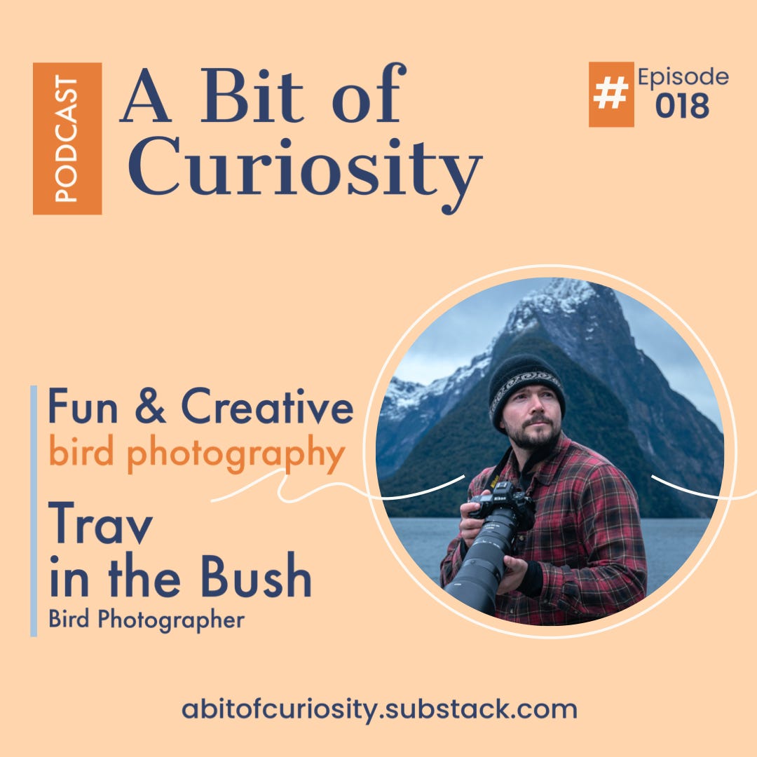 A Bit of Curiosity Podcast