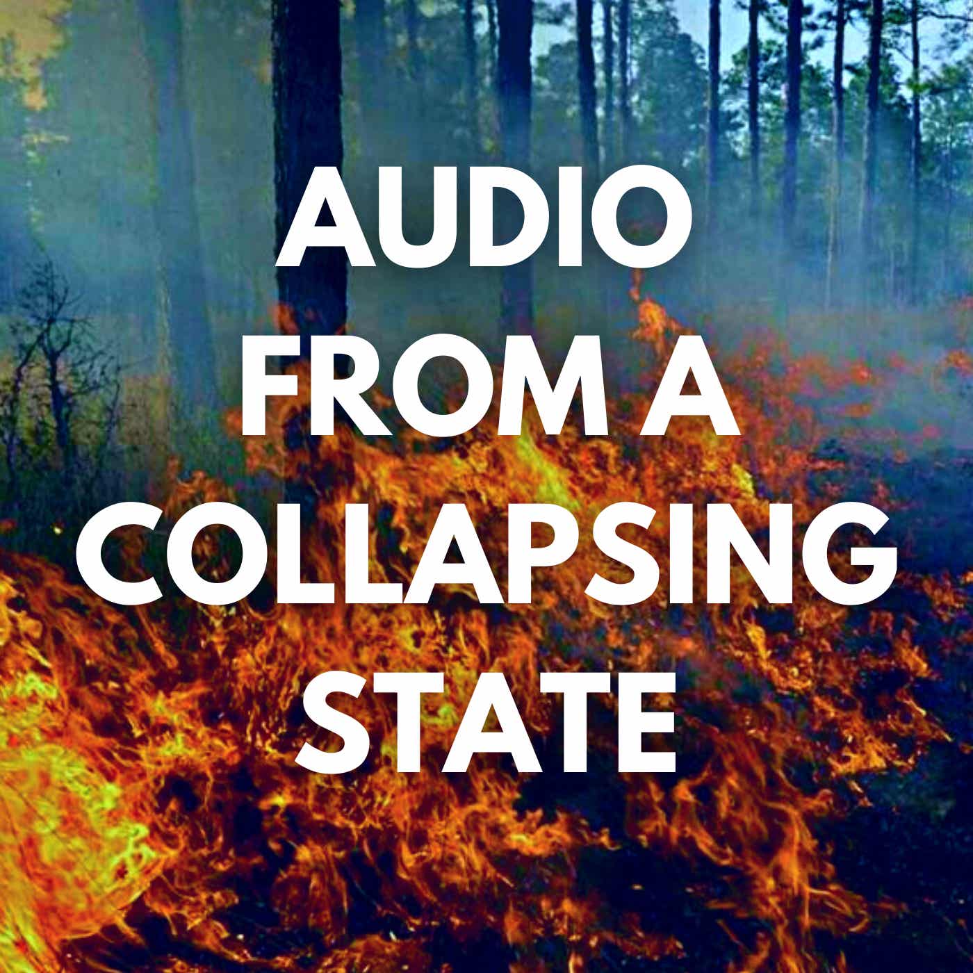 Audio From A Collapsing State | Jared Yates Sexton