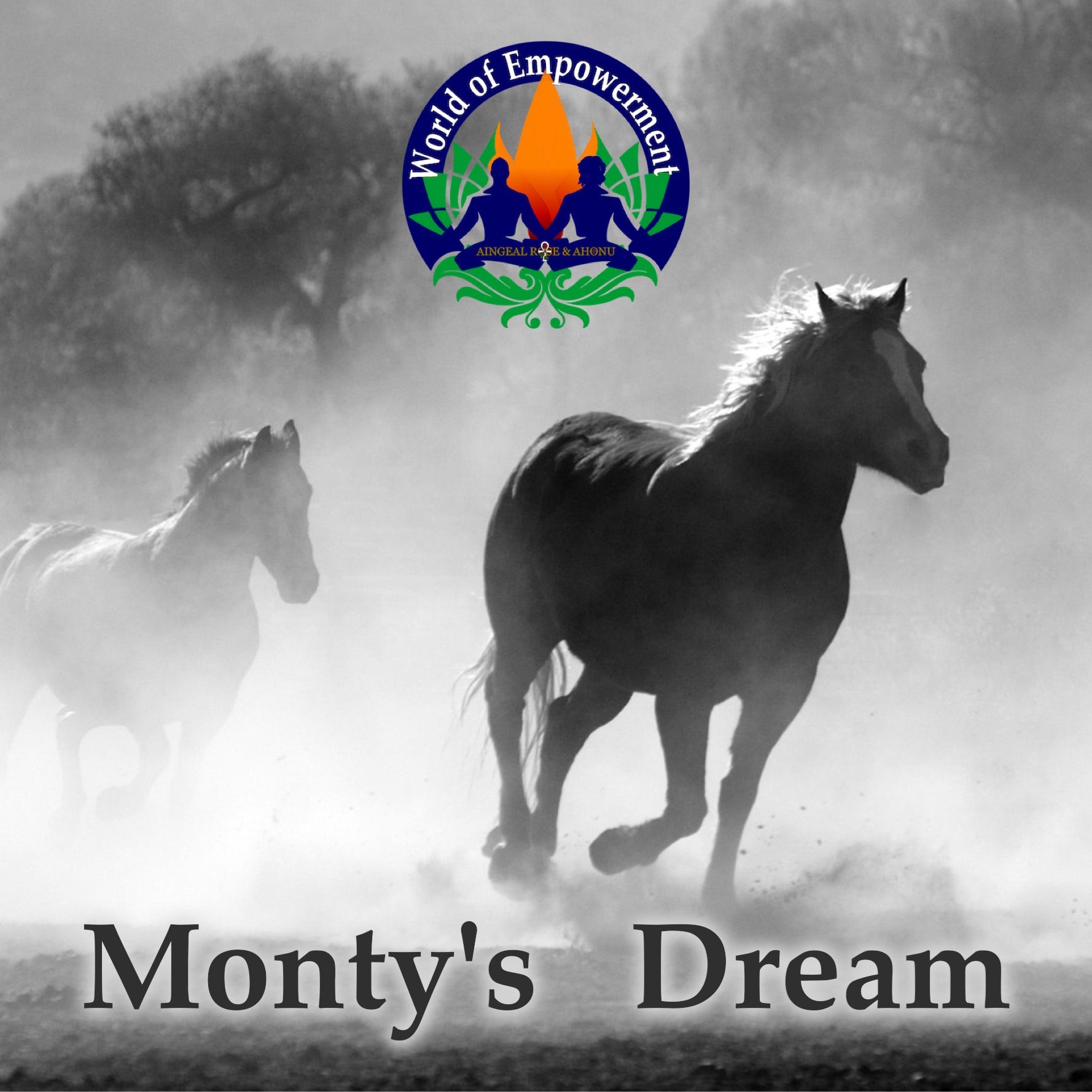 Montys Dream