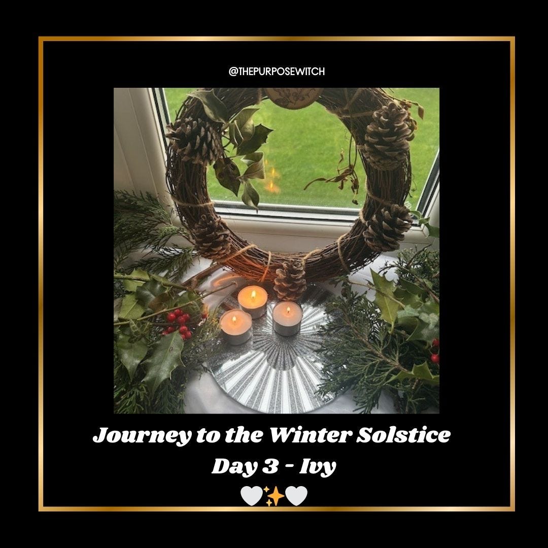 JOURNEY TO THE WINTER SOLSTICE DAY 3 episode artwork