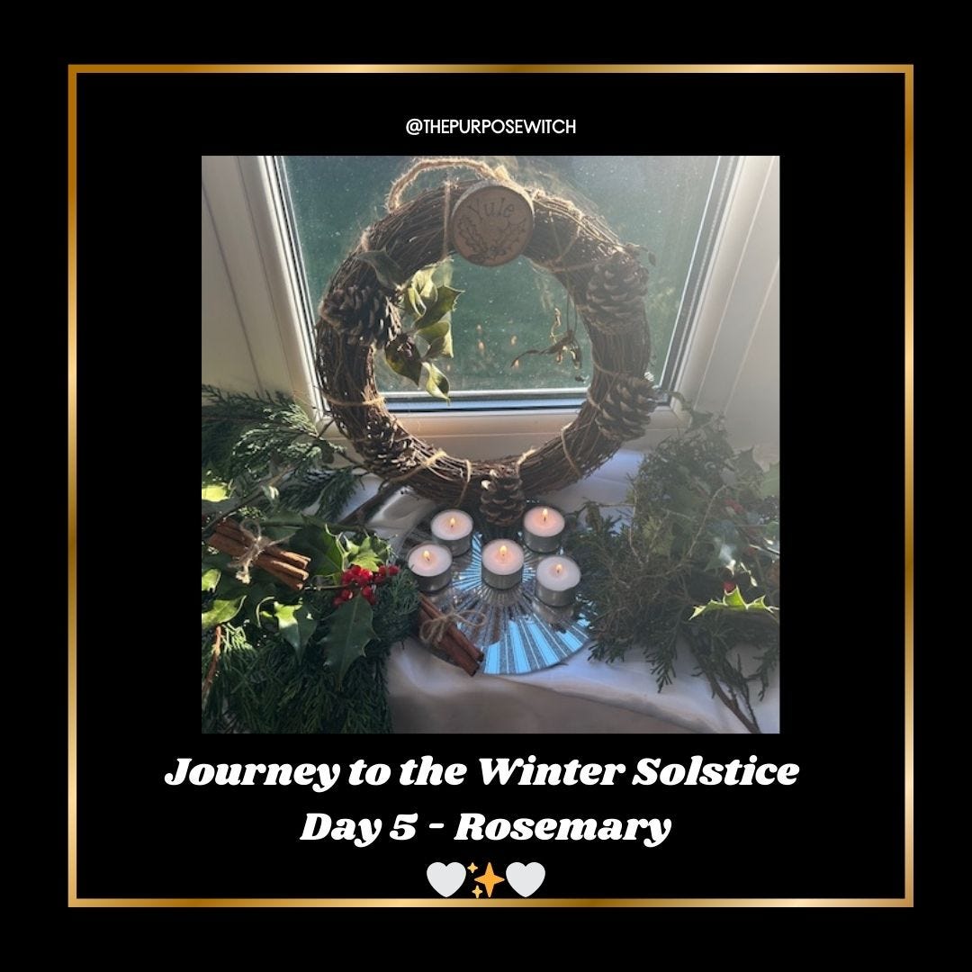 💫 JOURNEY TO THE WINTER SOLSTICE DAY 5 - Rosemary for Remembrance and Friendship 💫 episode artwork
