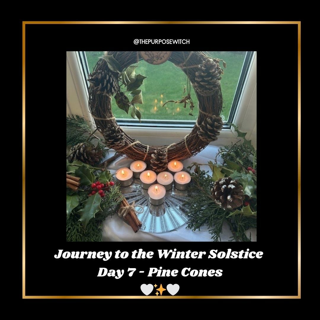 💫 JOURNEY TO THE WINTER SOLSTICE DAY 7 - Fertility and Renewal with Pinecones 💫 episode artwork