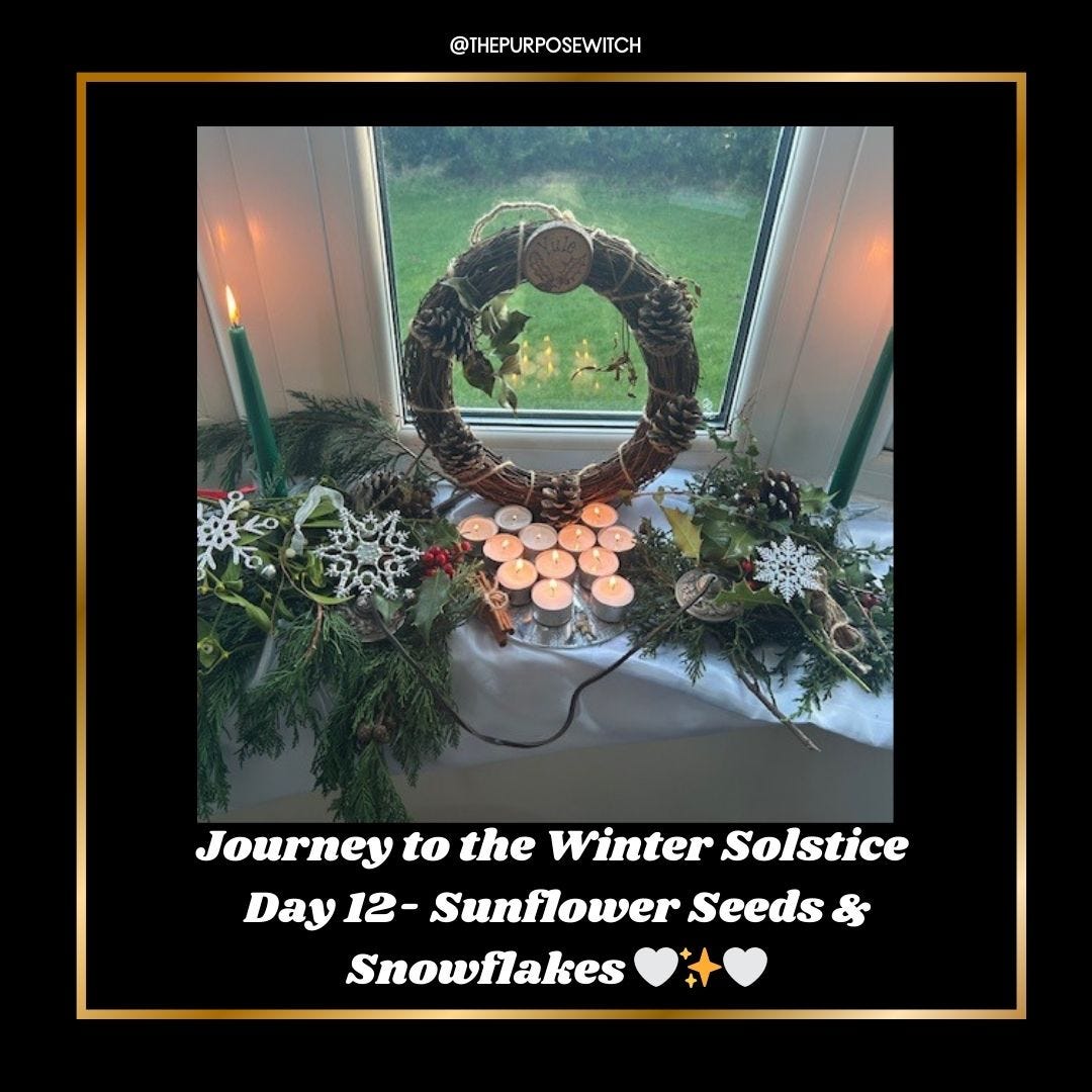 💫 JOURNEY TO THE WINTER SOLSTICE DAY 12 - Sunflower Seeds and Snowflakes 💫 episode artwork