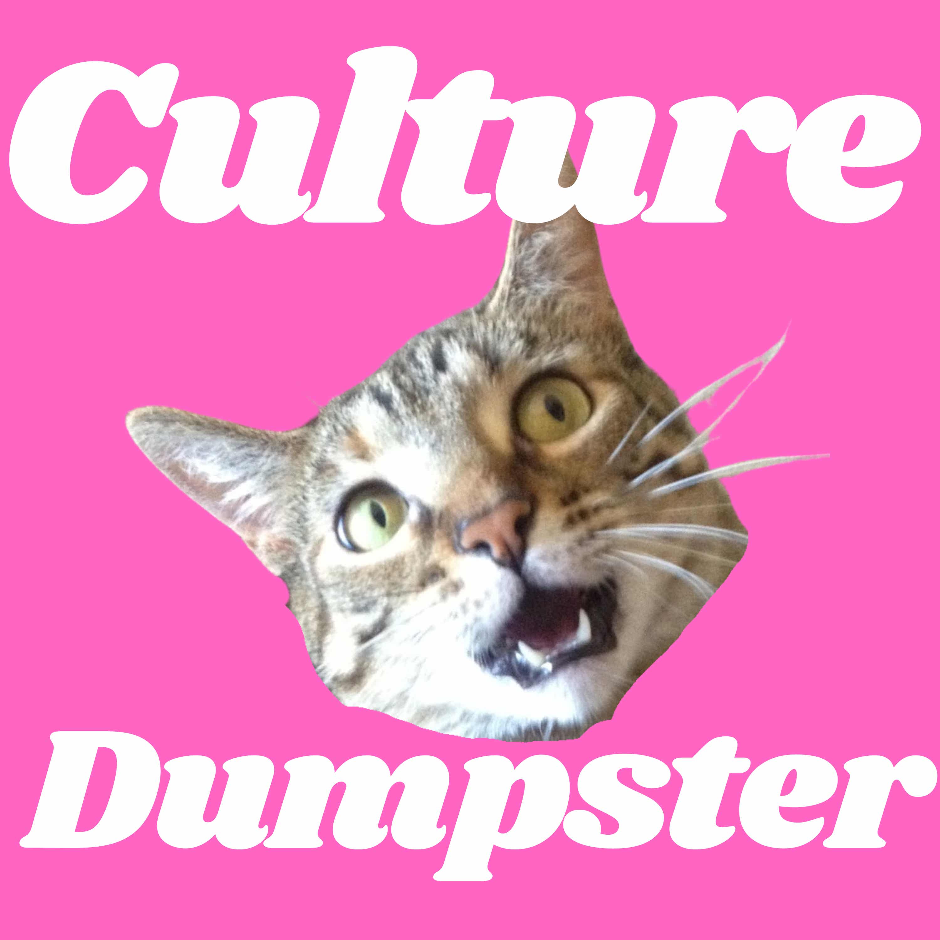 Culture Dumpster Podcast artwork