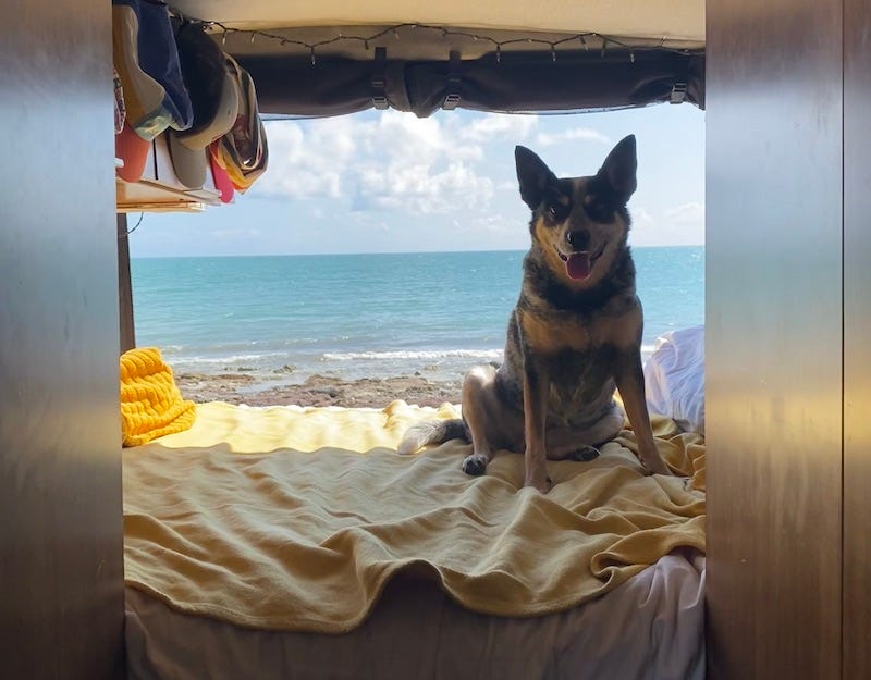 Vignettes from the Florida keys Vignettes from the Florida keys