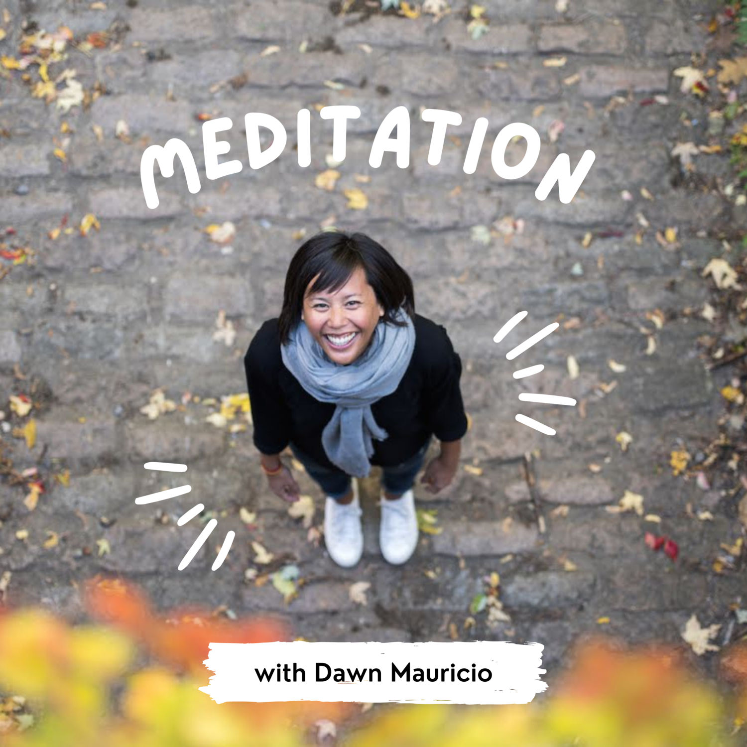 S3E9 - Radiating Metta episode artwork