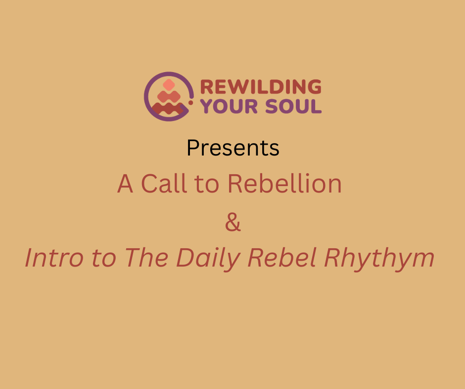 Rewilding Your Soul Podcast