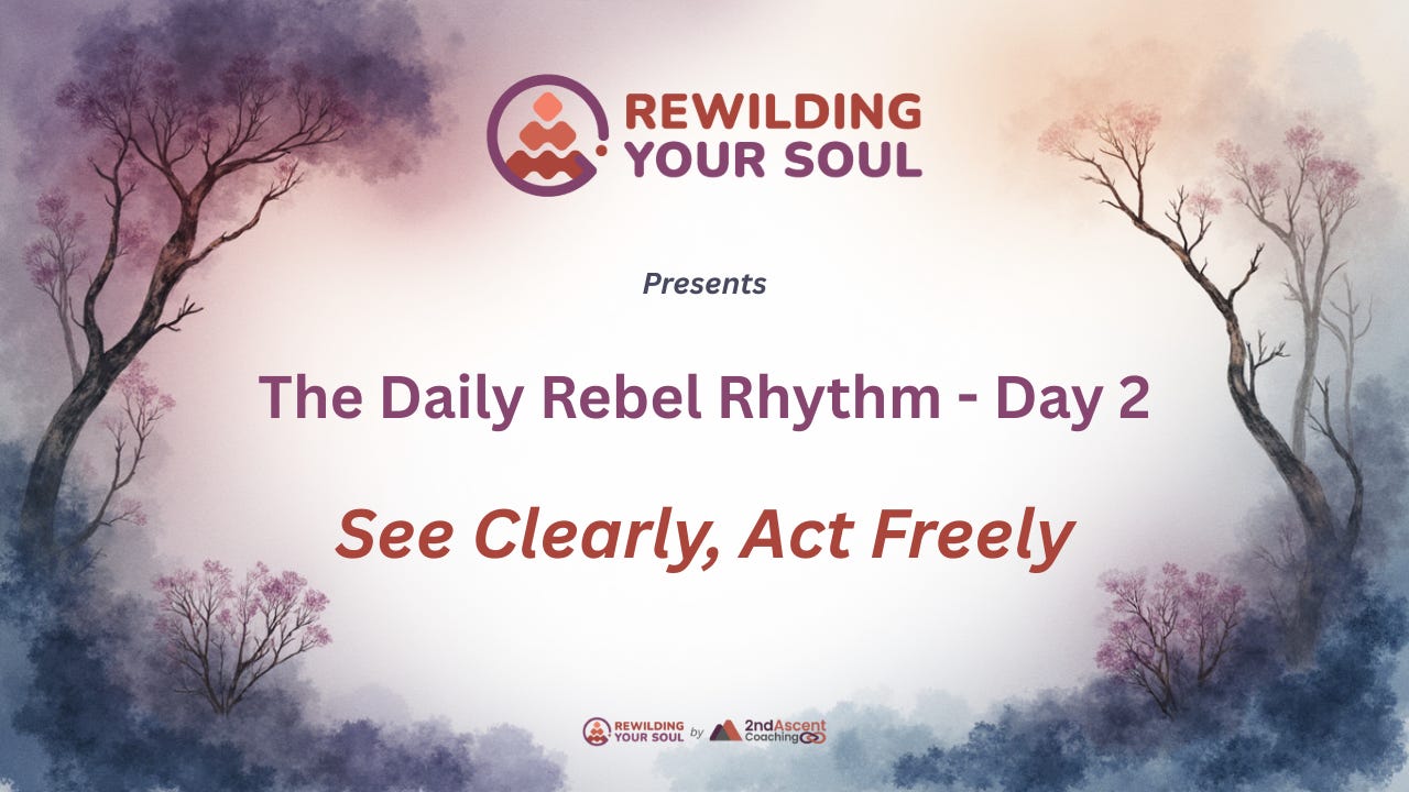 Rewilding Your Soul Podcast