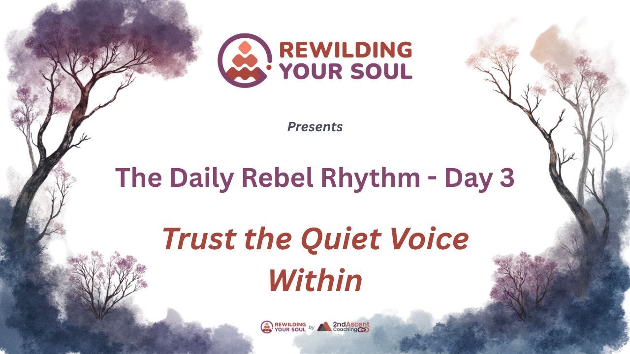 Rewilding Your Soul Podcast