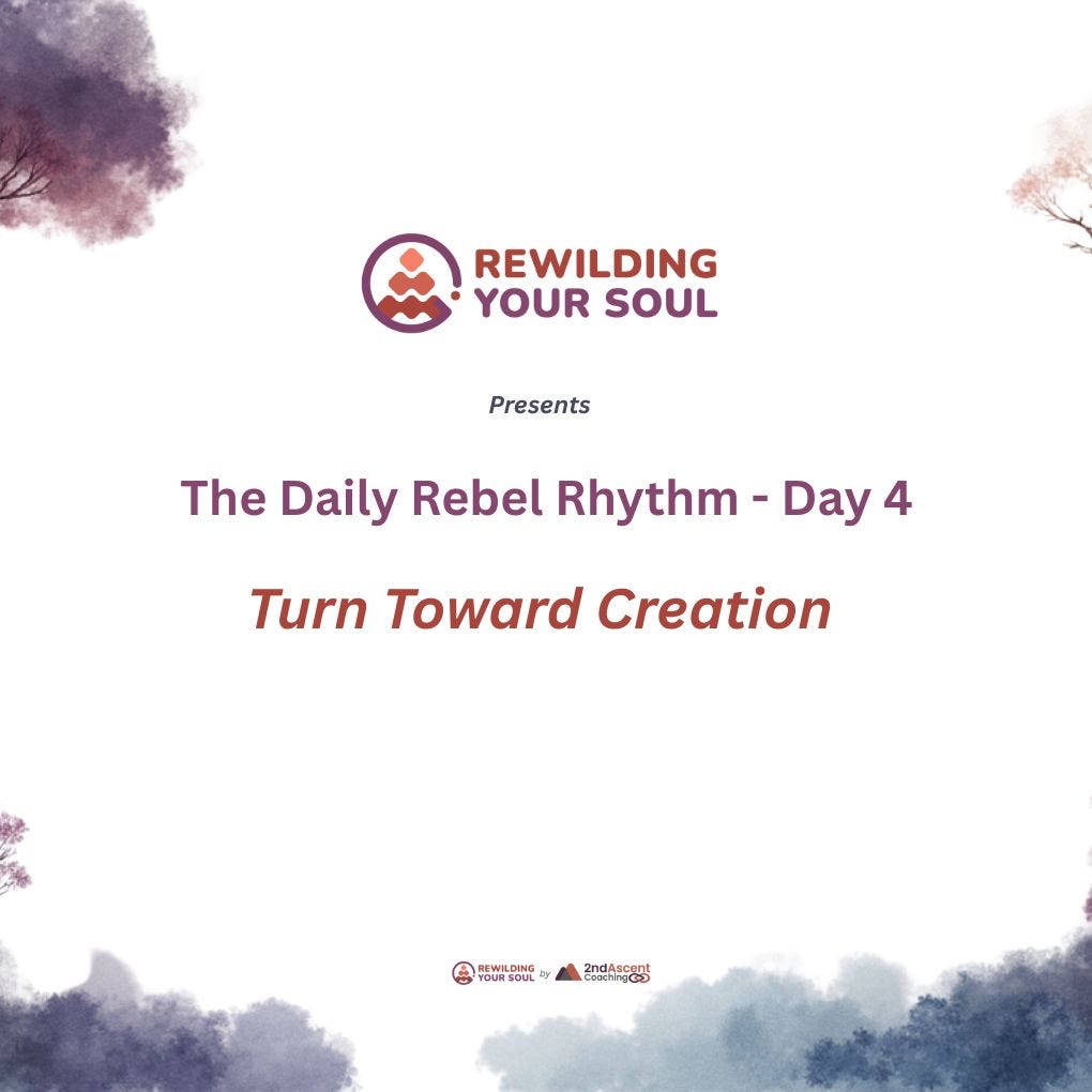 Rewilding Your Soul Podcast